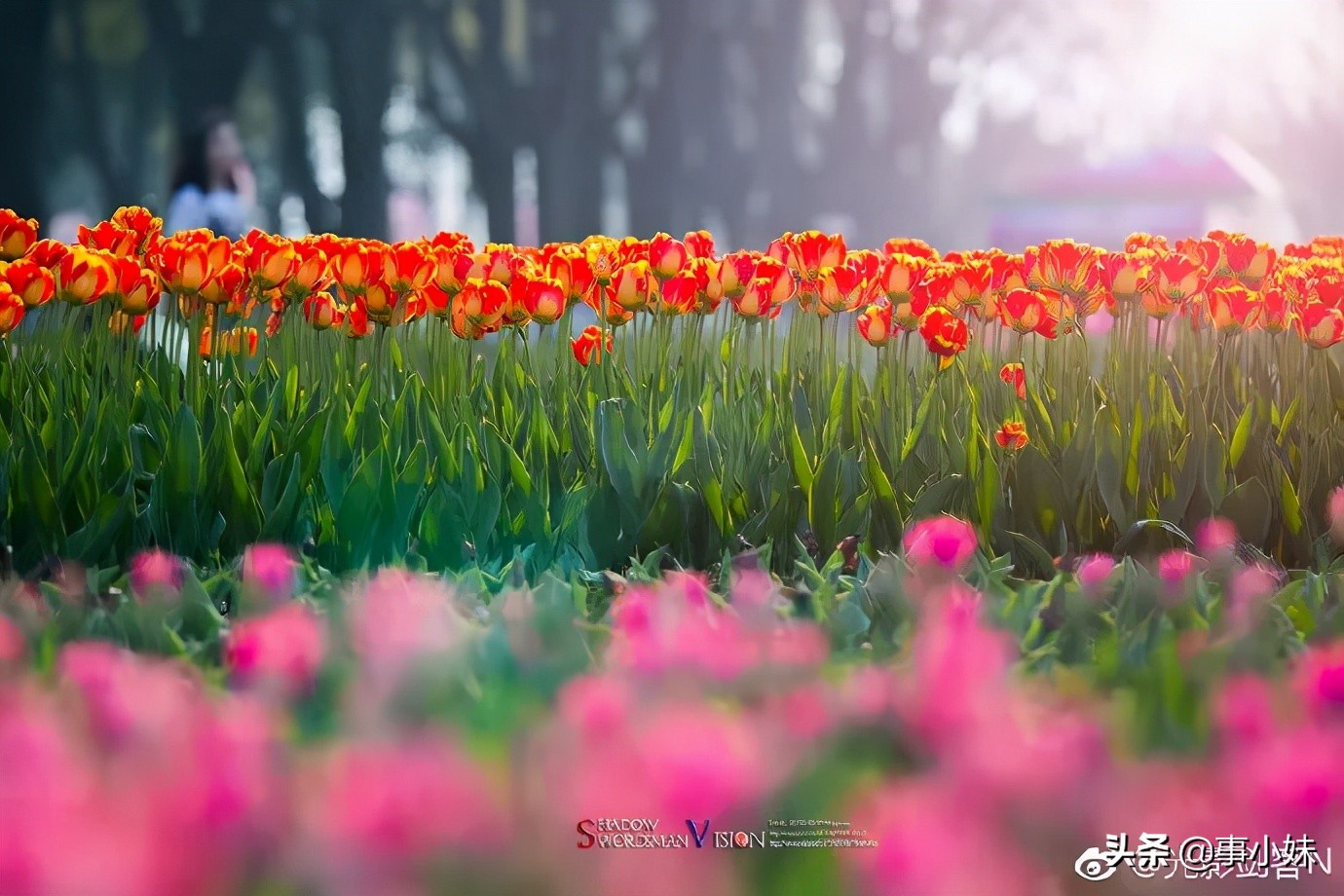 南京是什么味的,南京以什么口味为主