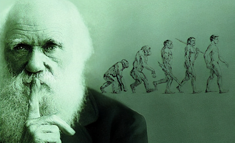 那些从小喜欢昆虫，又得到支持和尊重的孩子，活得到底有多爽？