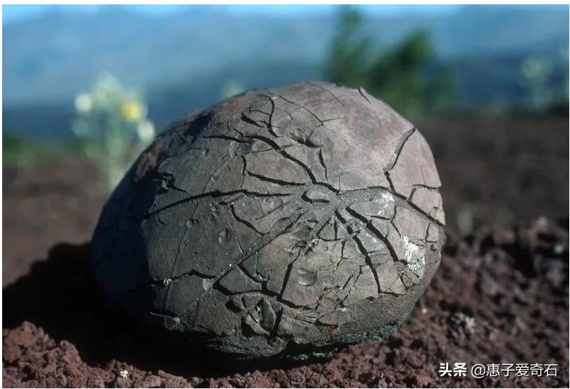 黑龙江奇石多少钱一块,黑龙江奇石大全