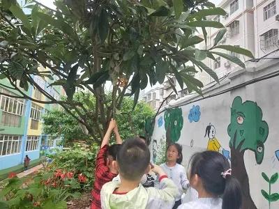 快乐采摘,采摘快乐收获喜悦