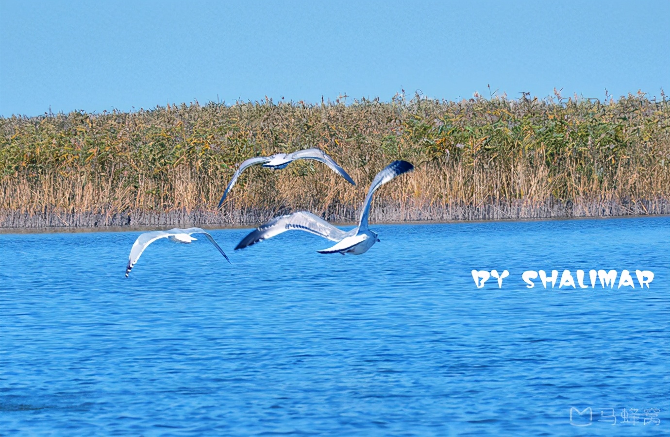 辽宁省盘锦市所辖区有哪些,辽宁省盘锦市有哪几个区