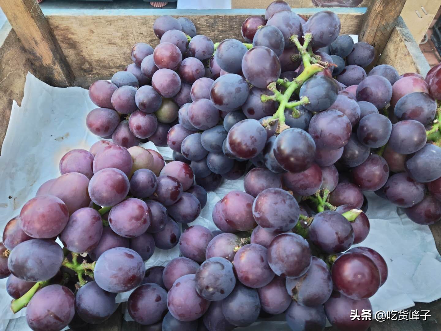 如何选葡萄甜不甜,葡萄甜不甜看这里就知道