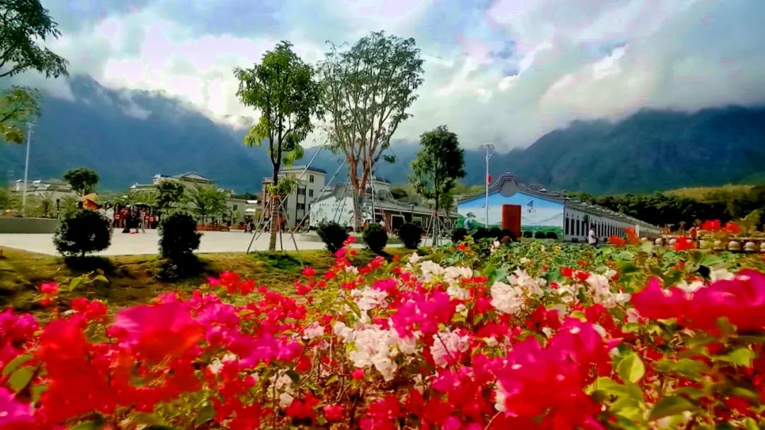 林青水绿茶飘香人道乡村好风光——莲花山片区乡村振兴示范带