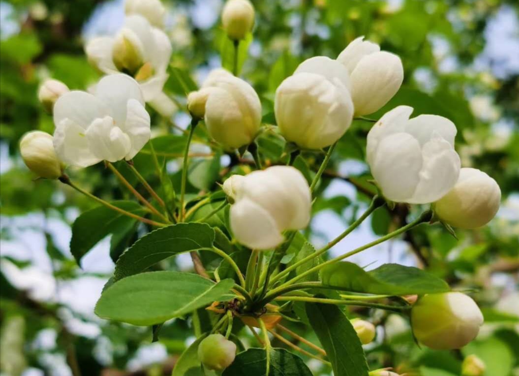 故事：不是最好的丈夫，是最合适的暖男