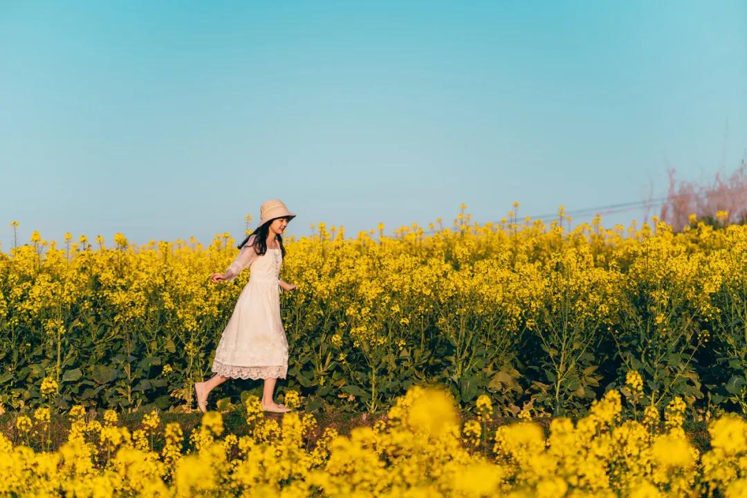 宁波周末走走,宁波旅游必去十大景点推荐自驾游