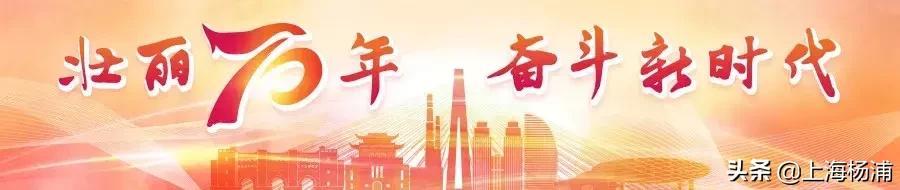 穿越到粮票年代的精彩小说,穿越回到用粮票年代的小说