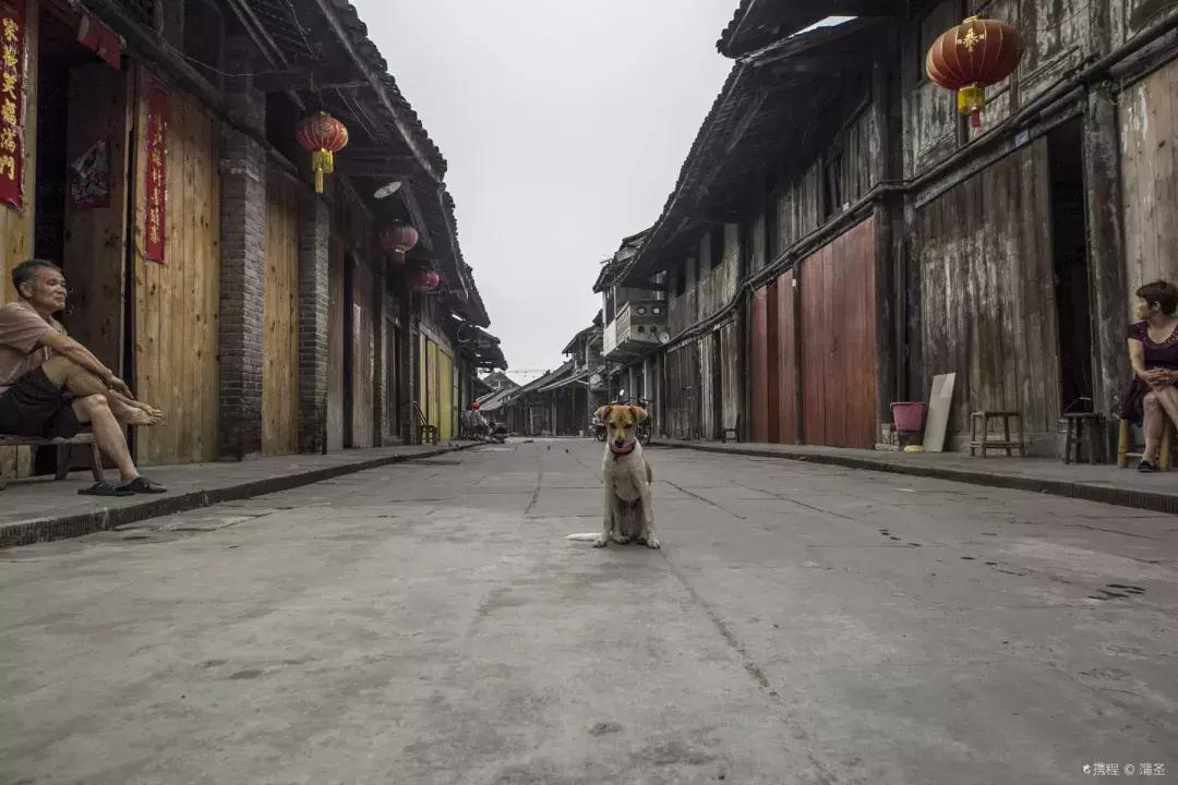 上海周边最值得去的5a夜景古镇,上海一日游古镇最佳路线免费景点
