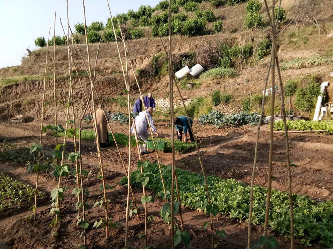 抢抓农时开展农业生产,农民纷纷抢抓春耕生产有利时机