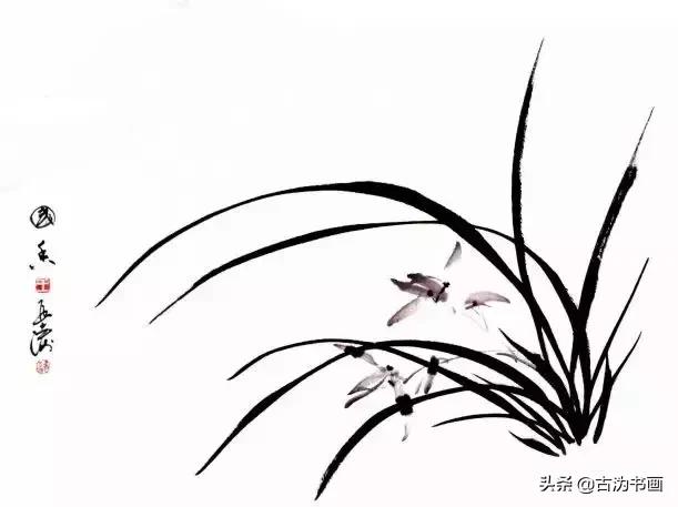 国画兰花技法讲解视频,徐湛国画兰花技法教学