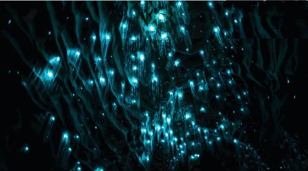 10000张电影票9元,30000张电影票免费送出