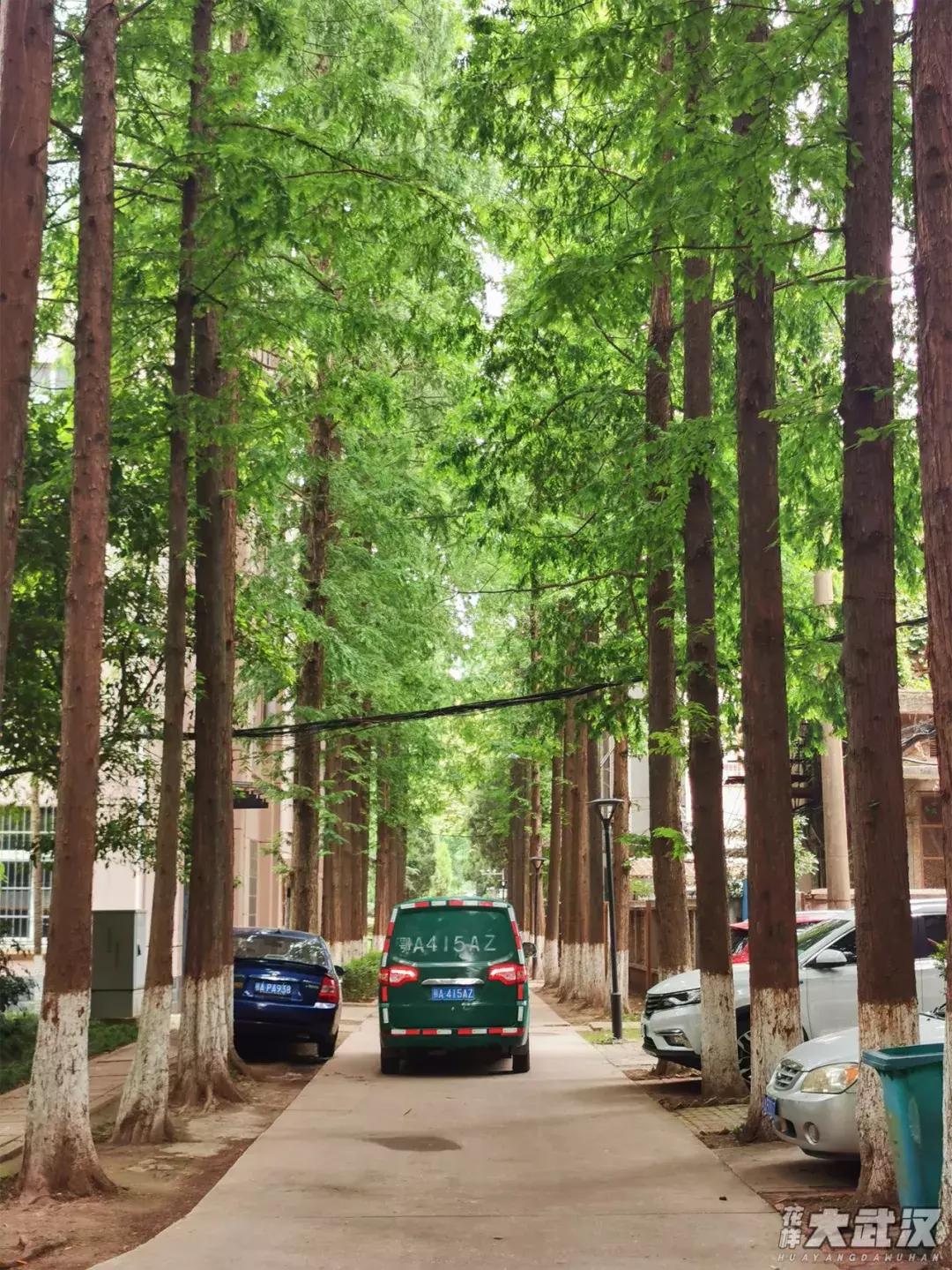 武汉科技大学的机械学院,武汉科技大学医学院和临床学院