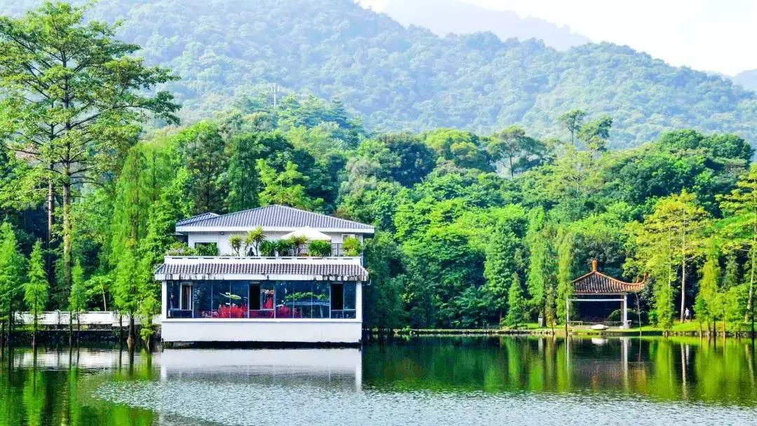 广州白云山什么时候开始改造,广州白云山现在能开上去吗