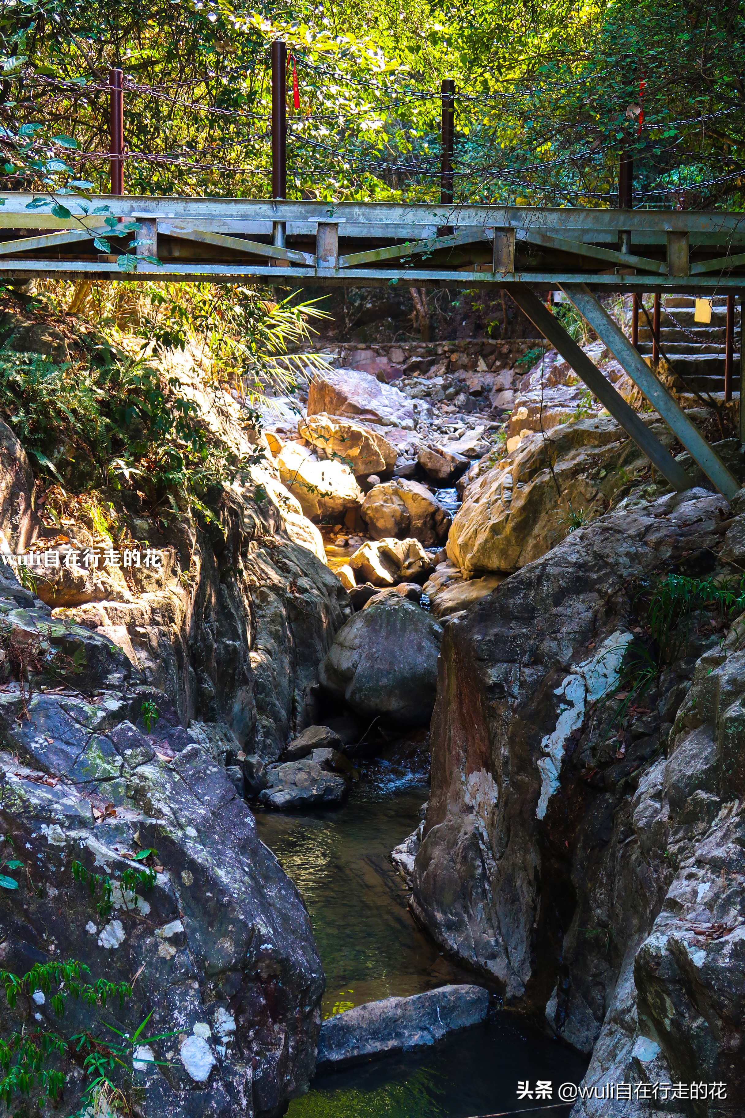 长泰县十里蓝山,漳州长泰十里蓝山攻略