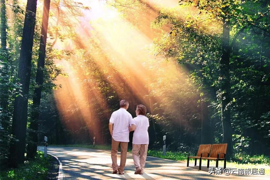 十里花巷·云山洋房|花语云山藏佳境——雅居乐·西双林语