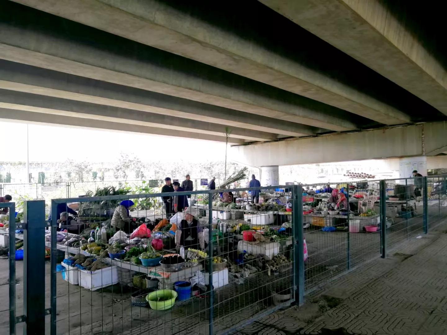 番禺地铁7号线旅游攻略,广州番禺七号线游玩攻略