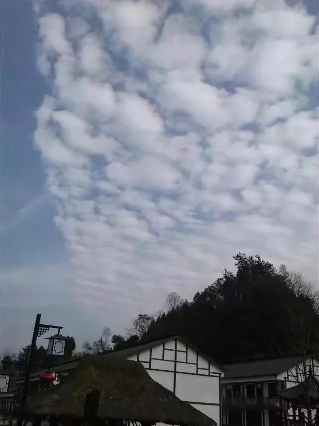 茶马互市,关于茶马古道的介绍