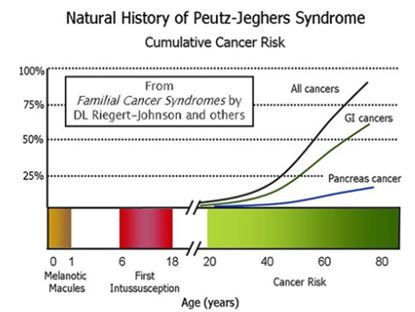 母亲嘴唇有黑斑遗传给孩子的概率,小孩嘴唇黑有什么病