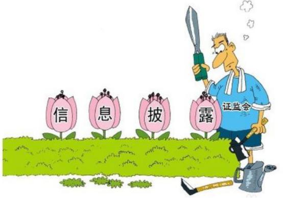 魏宁海炒股新手入门,魏宁海炒股绝密技巧