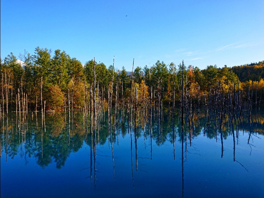 日本从南到北旅游路线,从南游到北