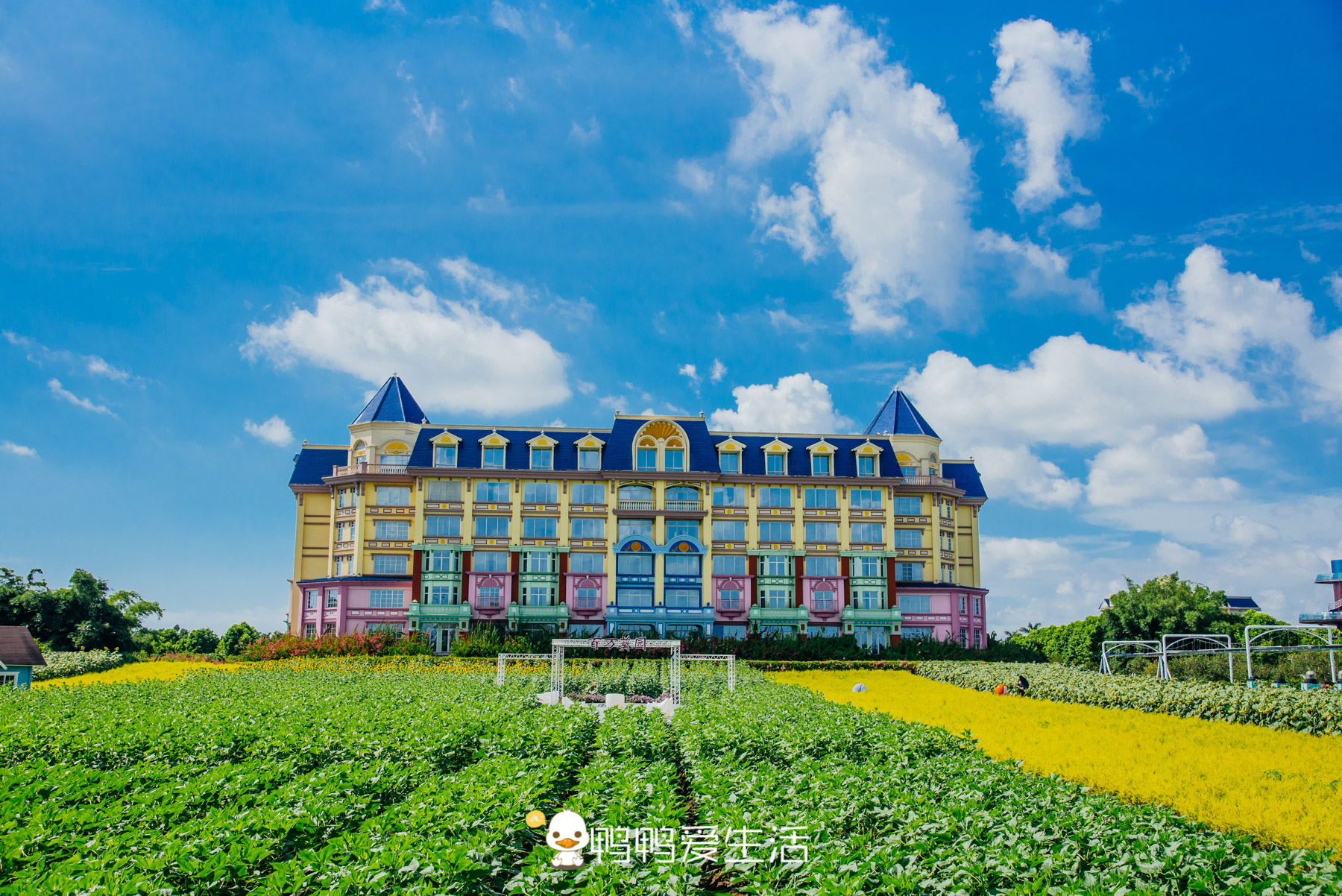 广州最浪漫的旅游胜地,广州最浪漫的旅游景点在哪里啊