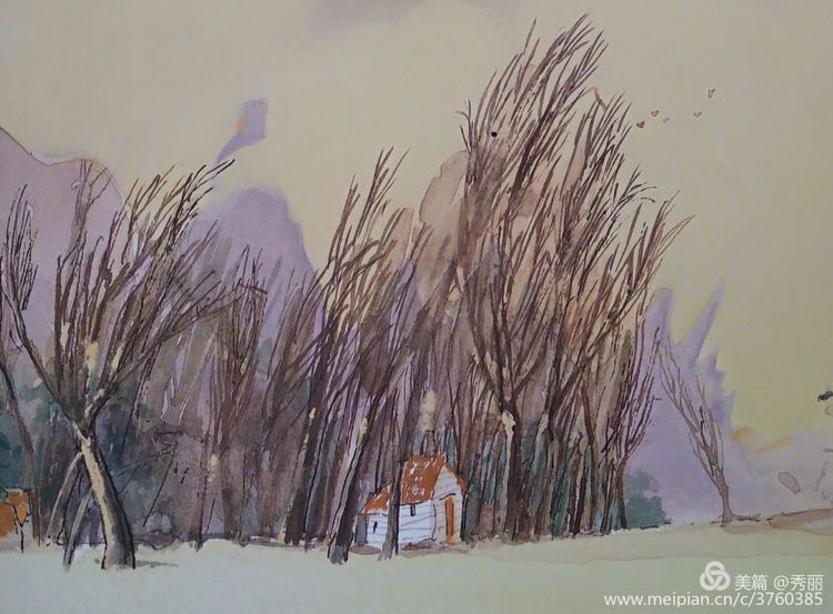 上海10岁男孩事件动画,上海10岁男孩事件完整