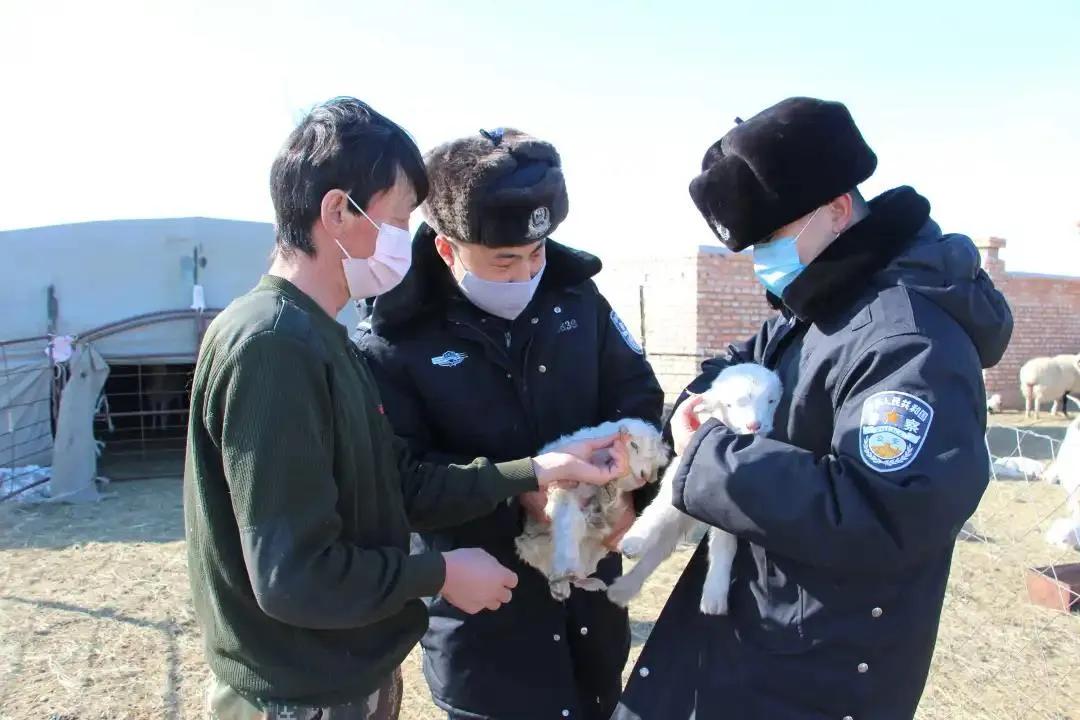 平安呼伦贝尔,平安海拉尔