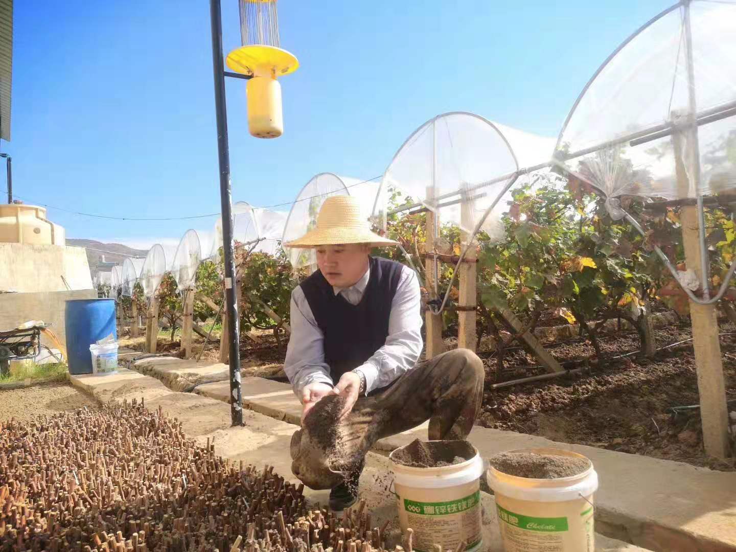 大理“富硒黑提王”张明洪的“三千金”