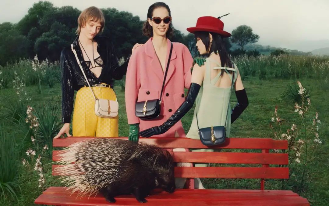 成为奢侈品的条件,成为爱马仕的vip要多少钱