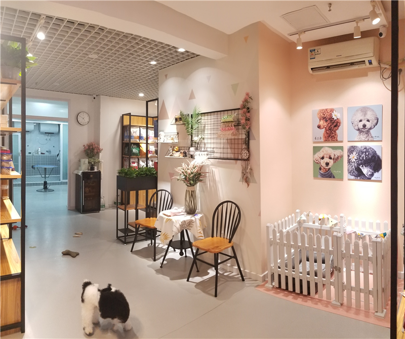 未来几年开宠物店前景如何,现在开宠物店前景如何