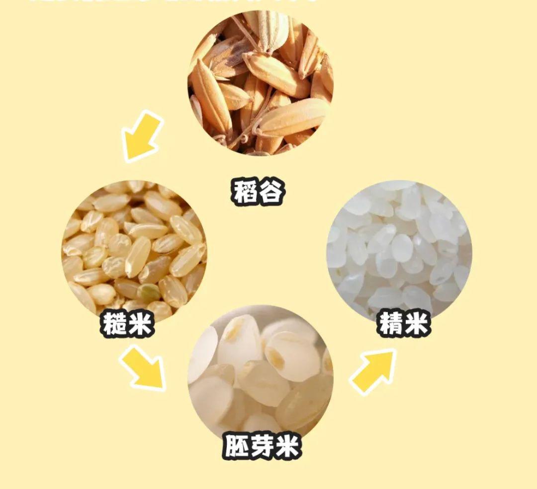 宝宝专用胚芽米是智商税吗,给宝宝熬粥有必要买胚芽米吗