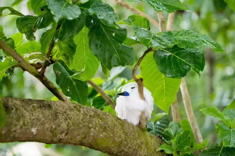 免签的亚洲海滩,六个免签海岛颜值完爆马岱