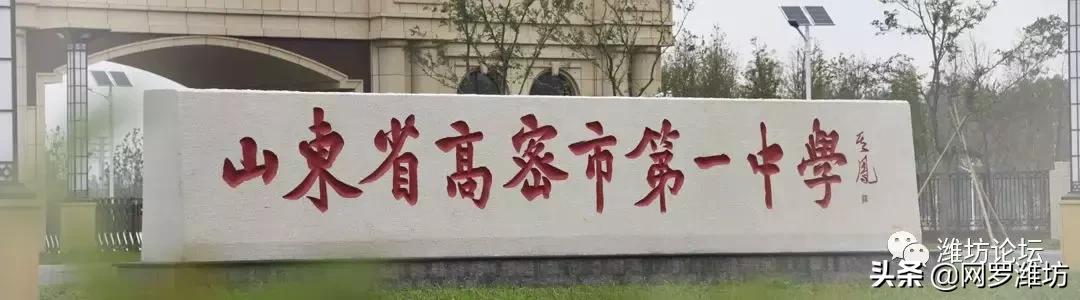 世界500强潍坊,潍坊入选高中500强