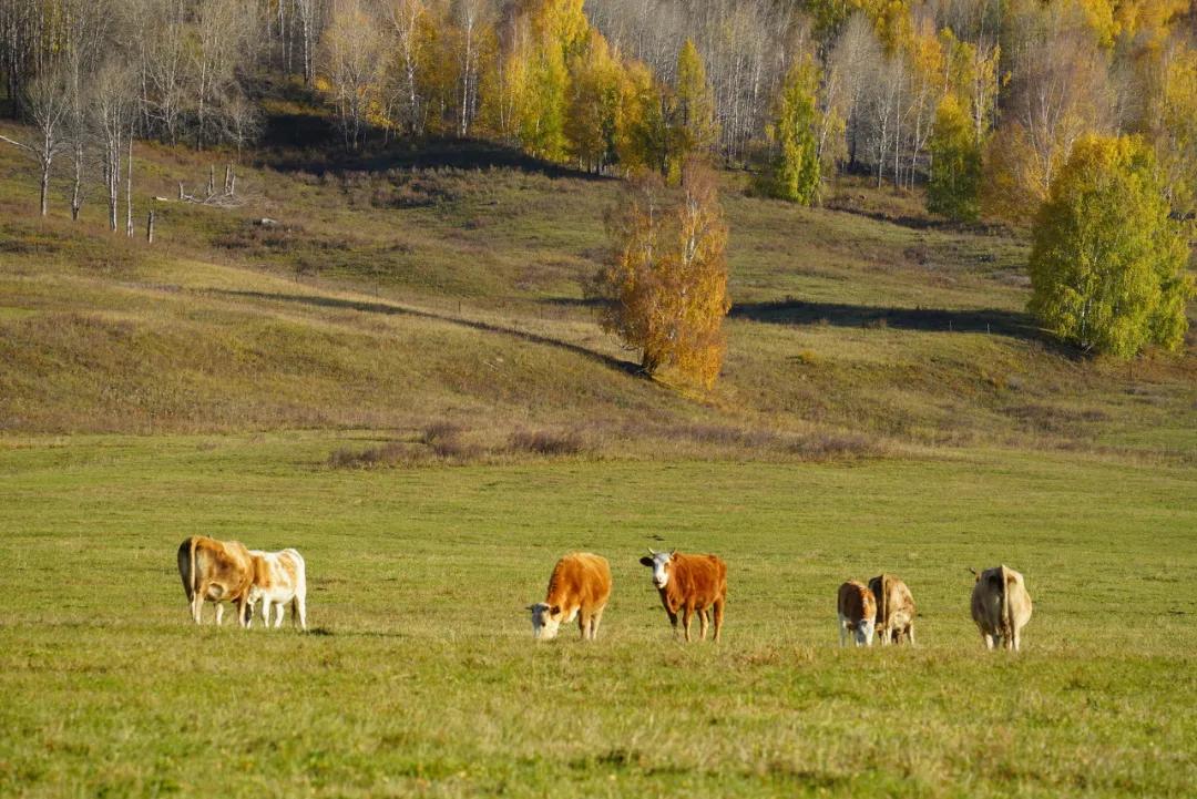 这个夏天一定不要出去玩,这个季节不要去的三个地方