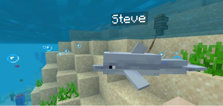 我的世界海洋版最强附魔武器,我的世界海豚寻宝