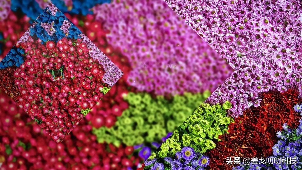 哪些电视具有真正的hdr功能,电视hdr是什么意思会让电视变慢吗