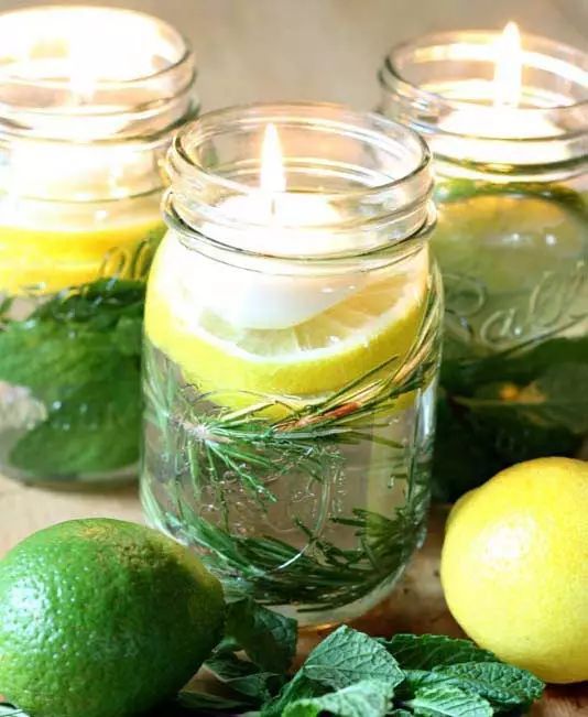 养什么植物有杀蚊子但对人无伤害,什么植物驱蚊子效果最好好养活