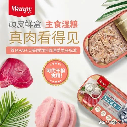 「扎堆大乱斗」还是「四两拨千斤」，顽皮宠物B站超车之路｜案例