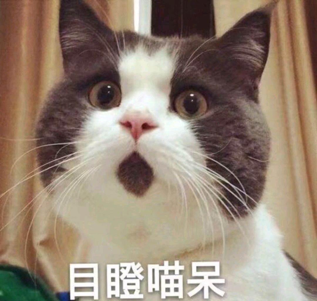 我和钢铁直男相处是什么体验,跟钢铁直男相处的感受