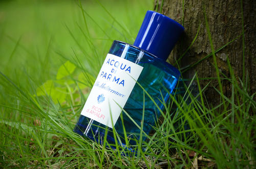 小众冷门的奶香调香水,清冷玫瑰香水推荐平价小众