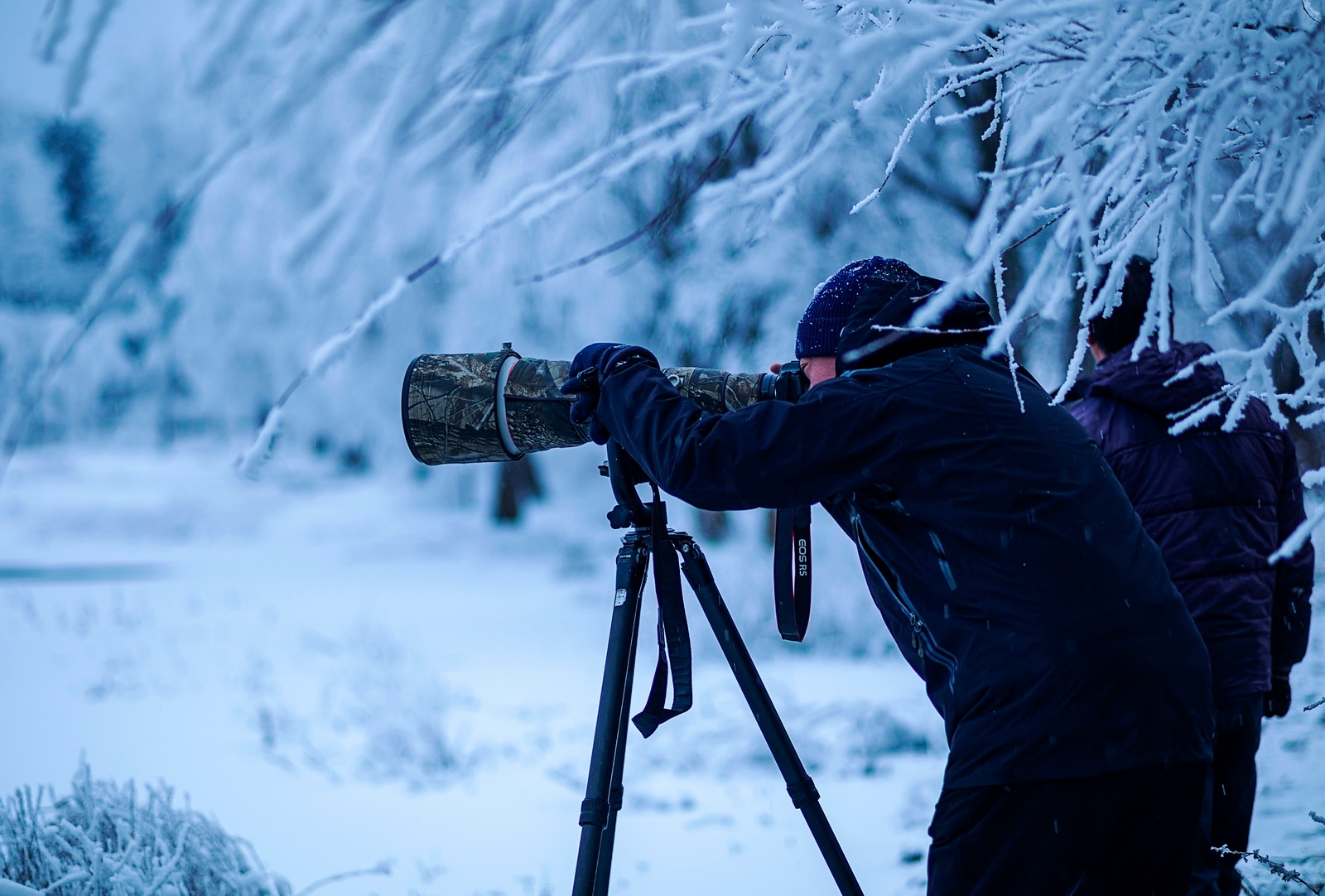 eosr5拍鸟体验,eosr5摄影与视频拍摄技巧大全