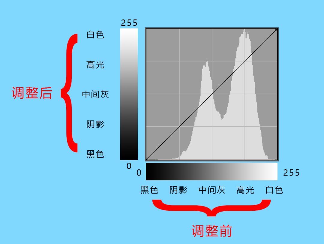 曲线要怎么记容易学得快,曲线难学吗