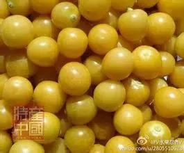 世界稀奇水果品种大全,世界热带奇特水果品种介绍