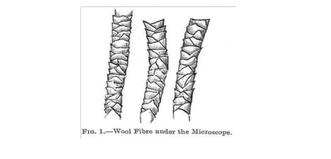 纯棉衣服缩水能缩多少厘米,纯棉的衣服缩水买大一码的正确吗