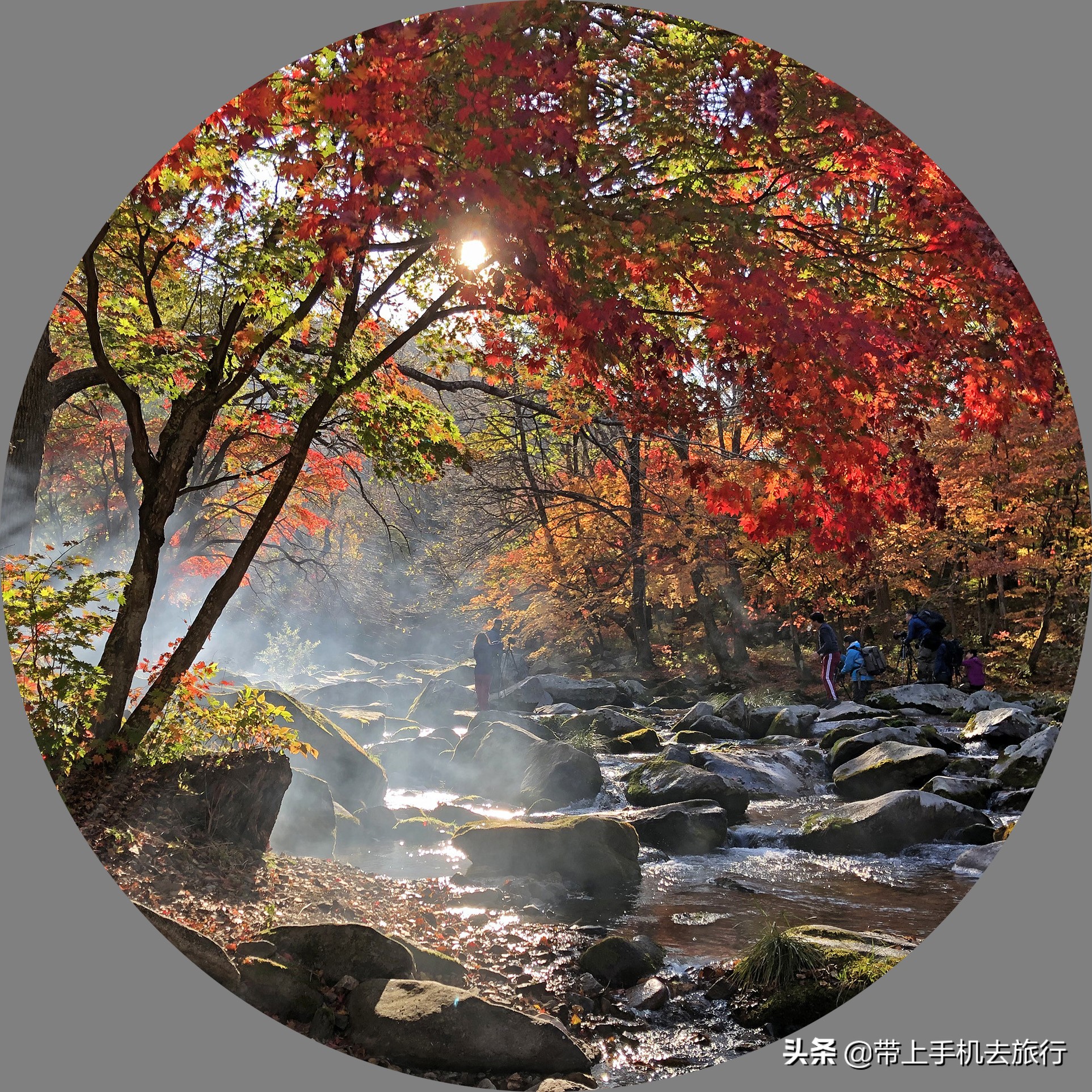 上热门小技巧手机摄影,手机摄影教程热门作品集