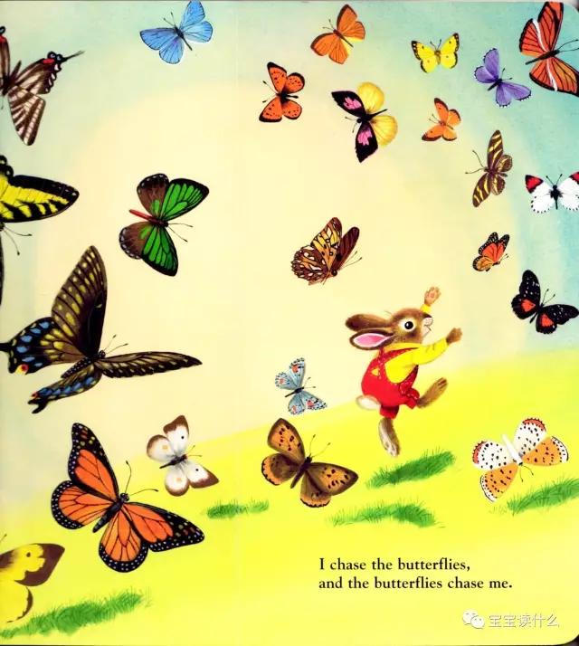 iamabunny作者,iamabunny歌曲