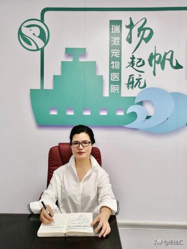 瑞派宠物医院利润率,瑞派宠物医院成功之路