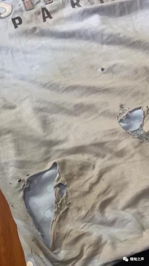 缅北女子被带走视频,缅甸北部金三角女生被打