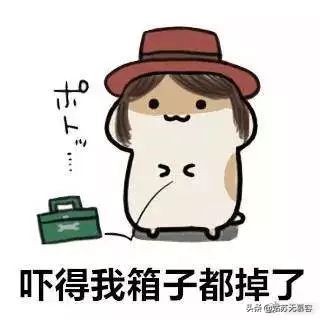 儿童海淘必备药,儿童海淘药哪个牌子好