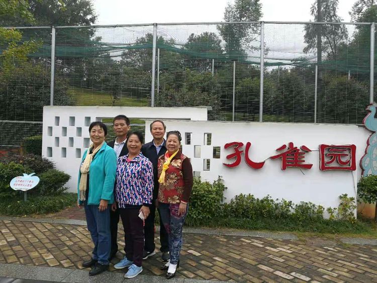 知青情结图片素材,60年代的知青情结