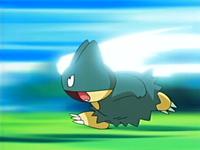 宝可梦No.446——小卡比兽